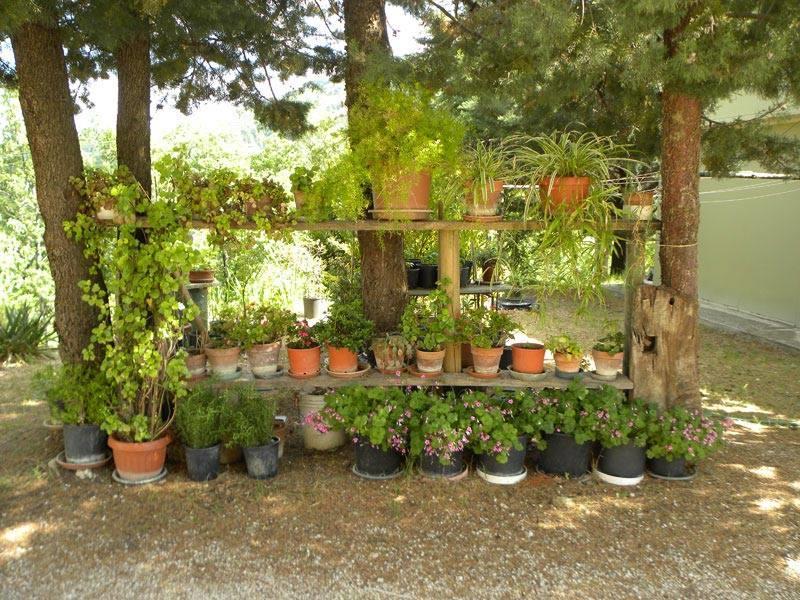 Agriturismo Col Cacione أسيسي المظهر الخارجي الصورة